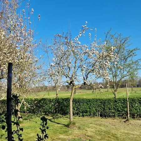 In Veluwe Near Speulderbos Casa vacanze Ermelo