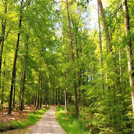 In Veluwe Near Speulderbos Casa vacanze *