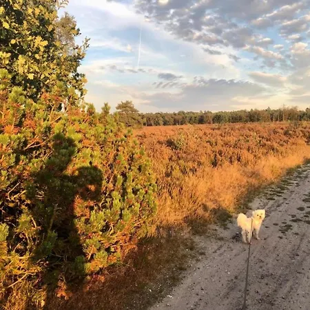 In Veluwe Near Speulderbos Casa vacanze Ermelo