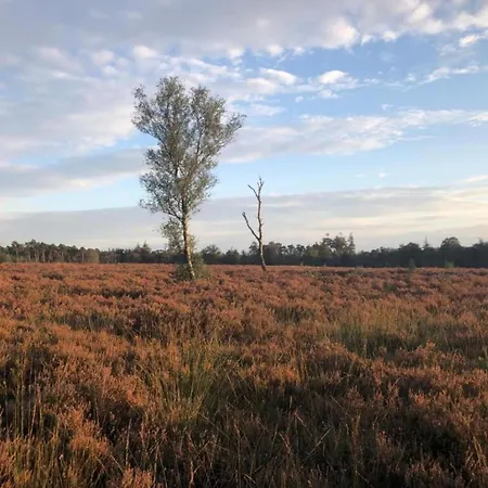 In Veluwe Near Speulderbos Casa vacanze