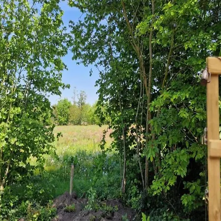 In Veluwe Near Speulderbos Ermelo