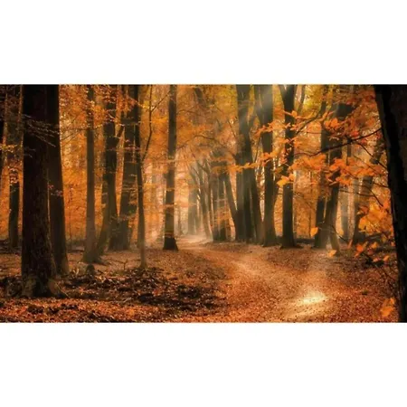 In Veluwe Near Speulderbos Casa vacanze *