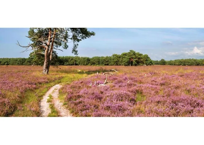 بيت للعطل In Veluwe Near Speulderbos *