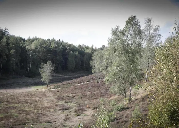 بيت للعطل In Veluwe Near Speulderbos إرميلو