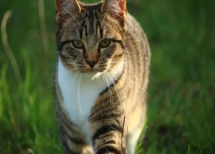 بيت للعطل In Veluwe Near Speulderbos *