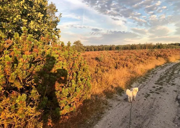 In Veluwe Near Speulderbos بيت للعطل إرميلو