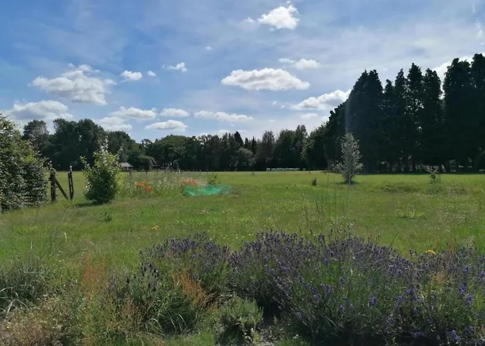 In Veluwe Near Speulderbos * إرميلو