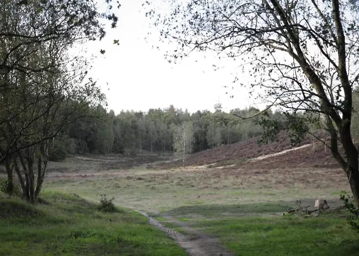 In Veluwe Near Speulderbos