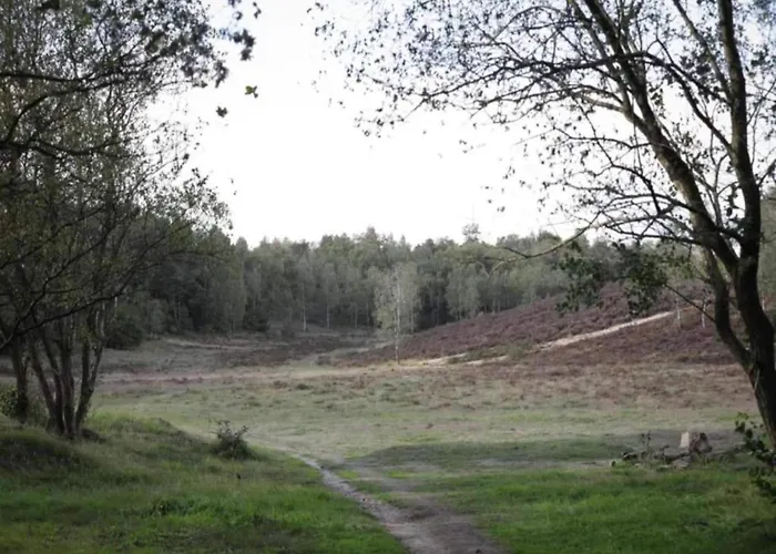 In Veluwe Near Speulderbos بيت للعطل *