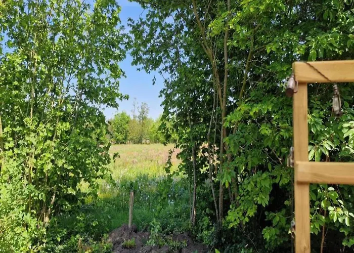 In Veluwe Near Speulderbos إرميلو