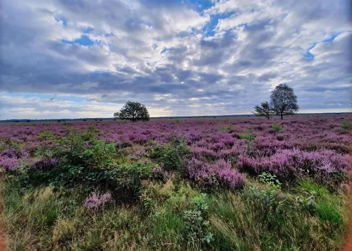 In Veluwe Near Speulderbos بيت للعطل