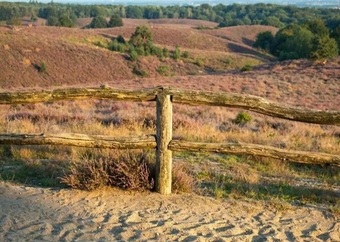 In Veluwe Near Speulderbos إرميلو