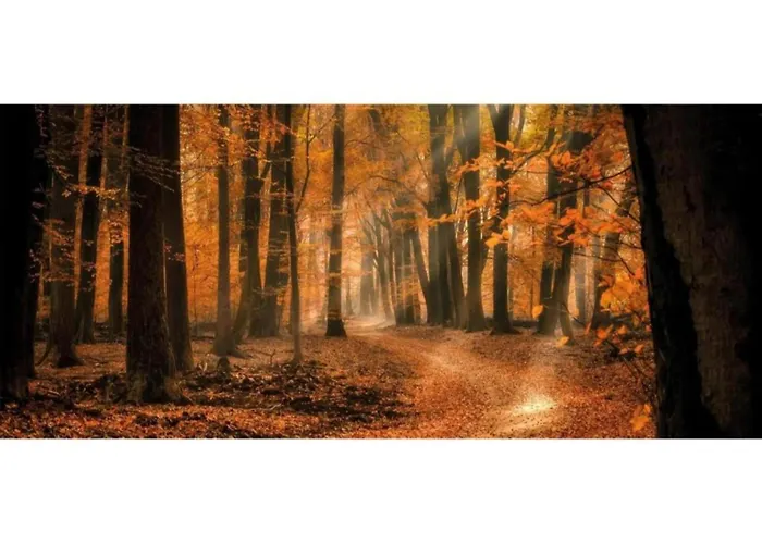 In Veluwe Near Speulderbos بيت للعطل *