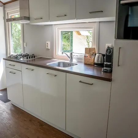 In Veluwe Near Speulderbos