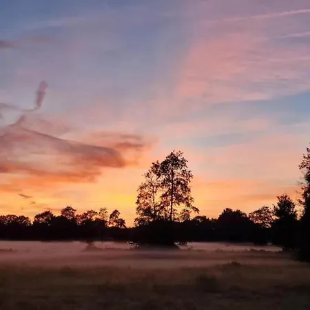 Vakantiehuis In Veluwe Near Speulderbos *