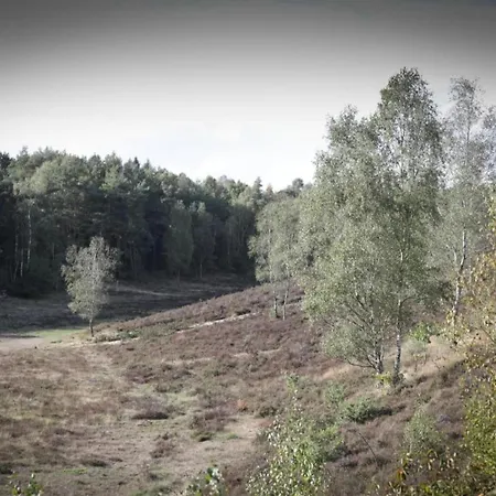Vakantiehuis In Veluwe Near Speulderbos Ermelo