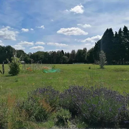 In Veluwe Near Speulderbos * Ermelo