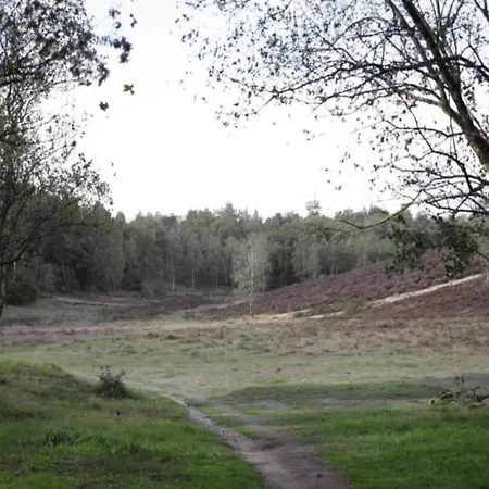 In Veluwe Near Speulderbos Vakantiehuis *