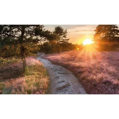 In Veluwe Near Speulderbos