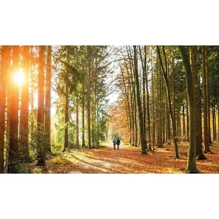 In Veluwe Near Speulderbos