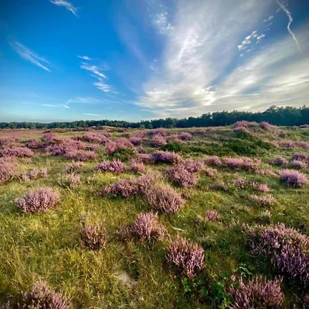Vakantiehuis In Veluwe Near Speulderbos