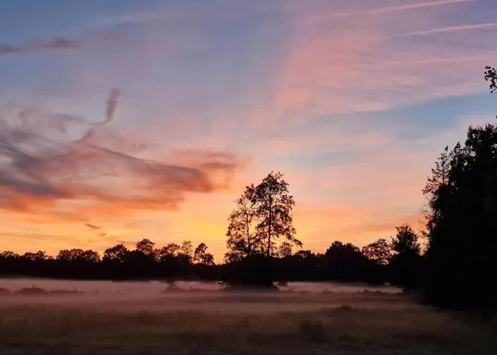 Vakantiehuis In Veluwe Near Speulderbos *