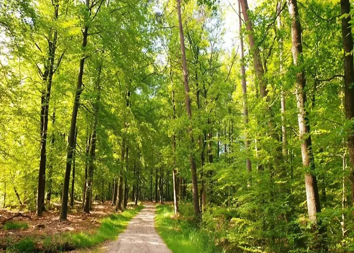 In Veluwe Near Speulderbos Vakantiehuis *