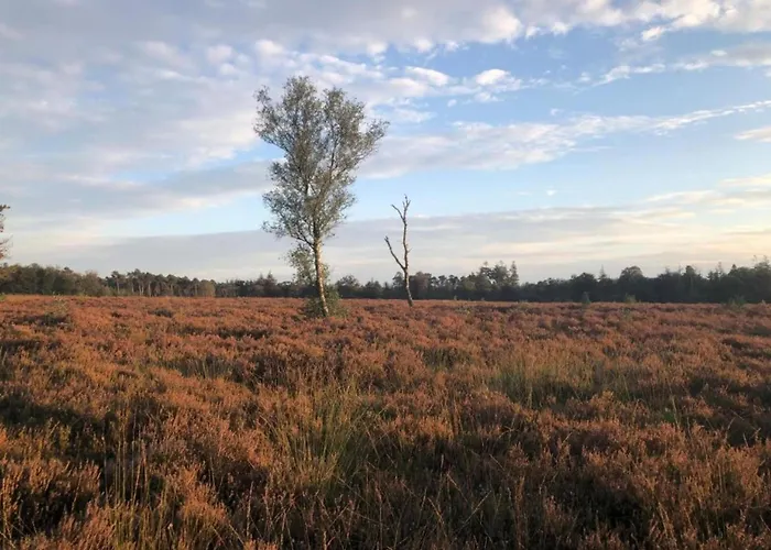 In Veluwe Near Speulderbos Vakantiehuis