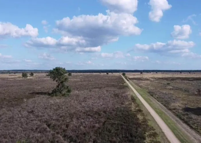 Vakantiehuis In Veluwe Near Speulderbos Ermelo