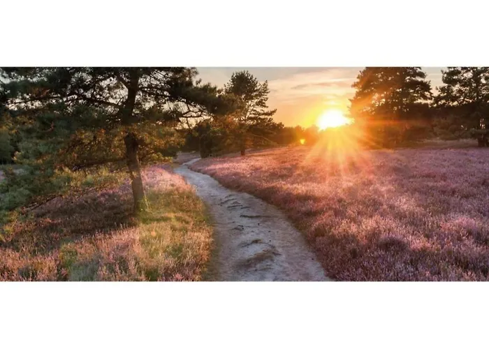 In Veluwe Near Speulderbos
