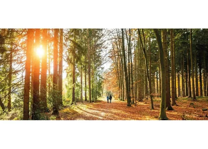 In Veluwe Near Speulderbos