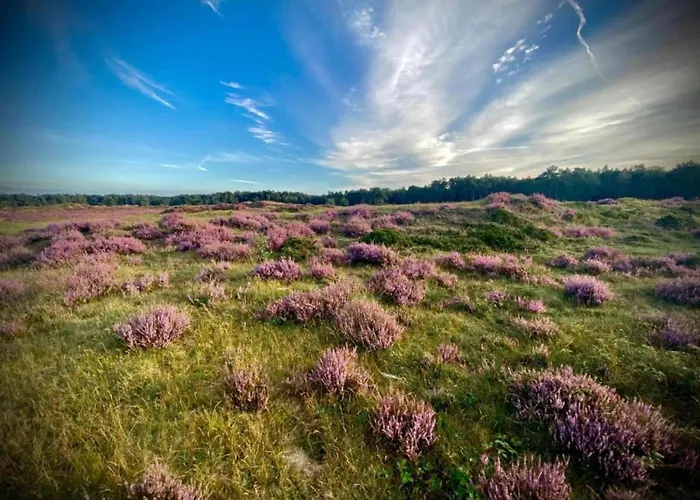 Vakantiehuis In Veluwe Near Speulderbos